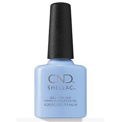 Shellac - Chance Taker